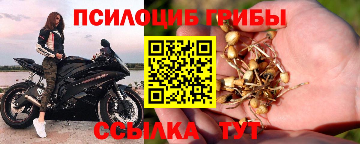 Пыть-Ях  Галлюциногенные грибы GOLDEN TEACHER  Вход с VPN 